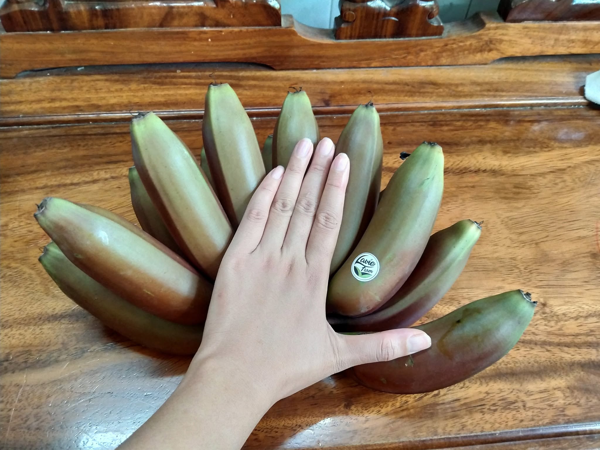 PREMIUM VIETNAMESE RED DWARF BANANAS – SWEET & AROMATIC | FRESH WHOLESALE 4
