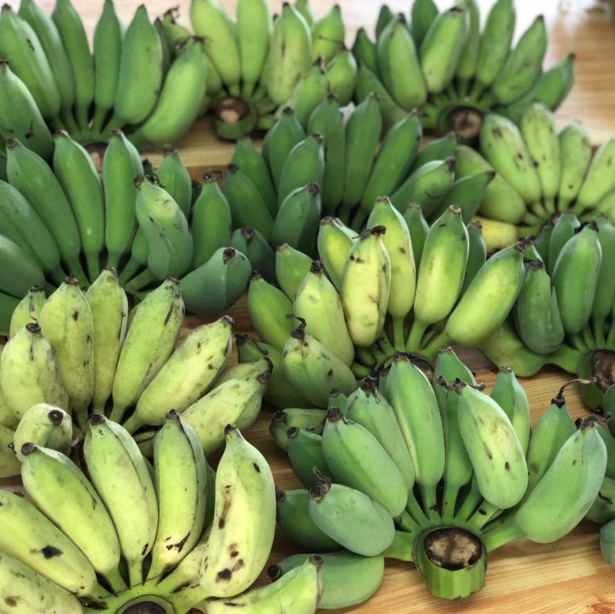 PREMIUM VIETNAMESE CHUỐI XIÊM ĐEN BANANA – SWEET & AROMATIC | FRESH WHOLESALE