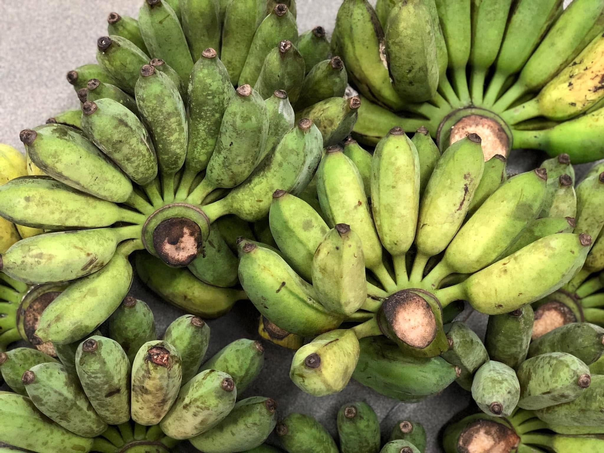 PREMIUM VIETNAMESE CHUỐI XIÊM ĐEN BANANA – SWEET & AROMATIC | FRESH WHOLESALE 2