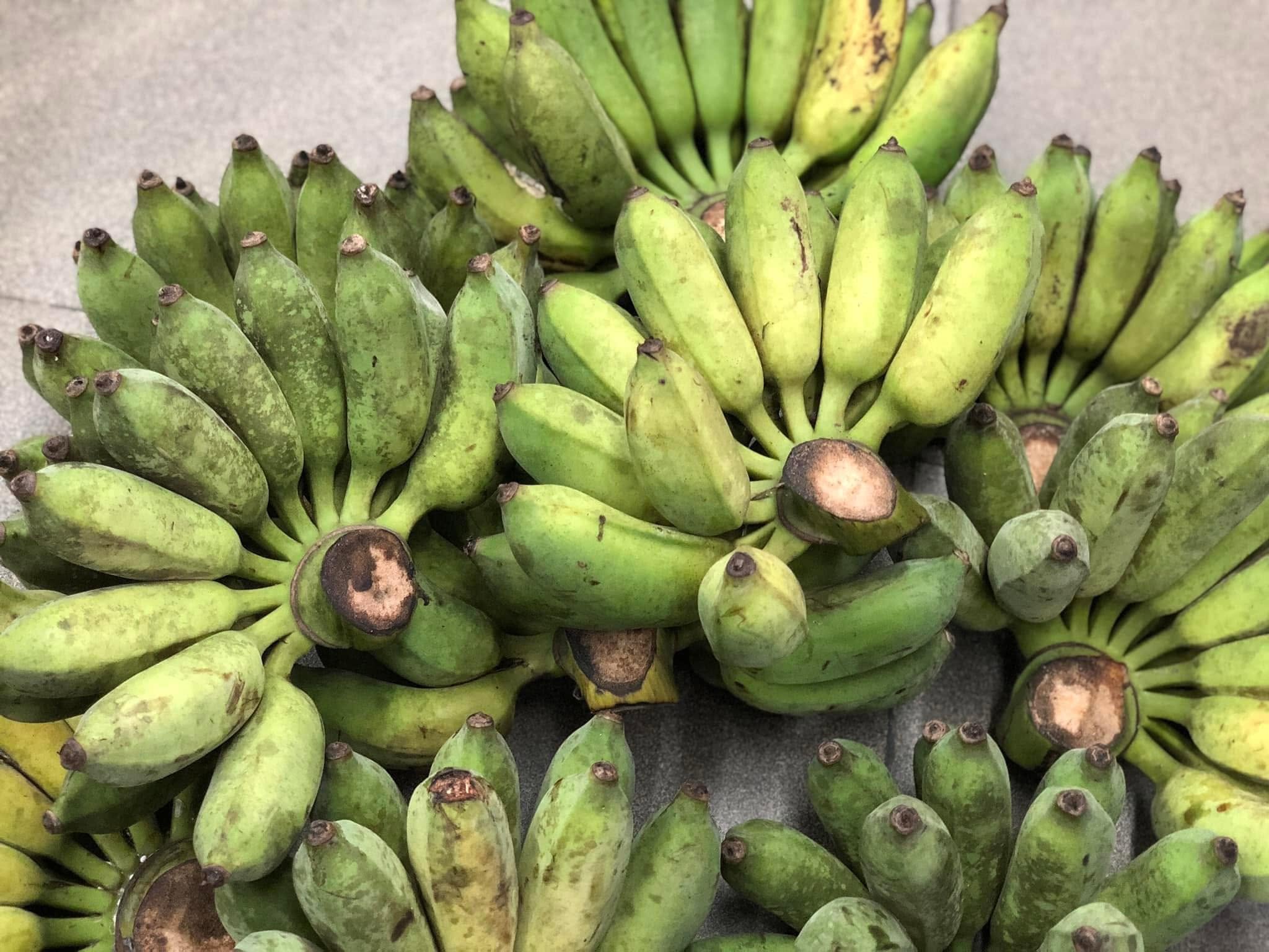 PREMIUM VIETNAMESE CHUỐI XIÊM ĐEN BANANA – SWEET & AROMATIC | FRESH WHOLESALE 3