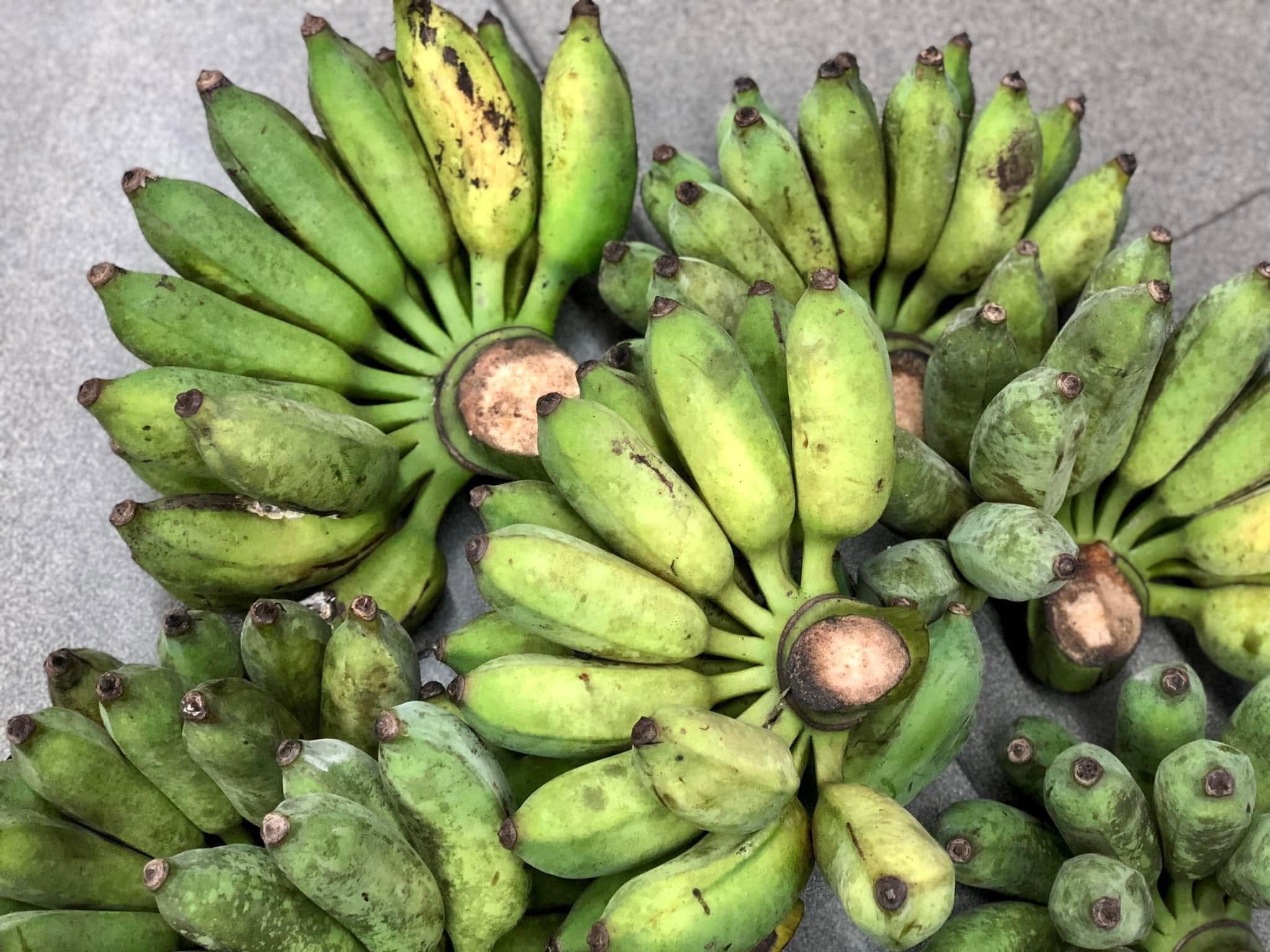 PREMIUM VIETNAMESE CHUỐI XIÊM ĐEN BANANA – SWEET & AROMATIC | FRESH WHOLESALE 4
