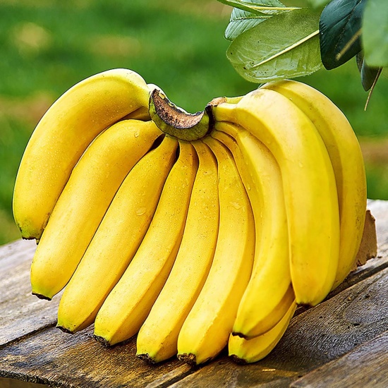 PREMIUM VIETNAMESE FRAGRANT BANANA – SWEET & AROMATIC | FRESH WHOLESALE 4