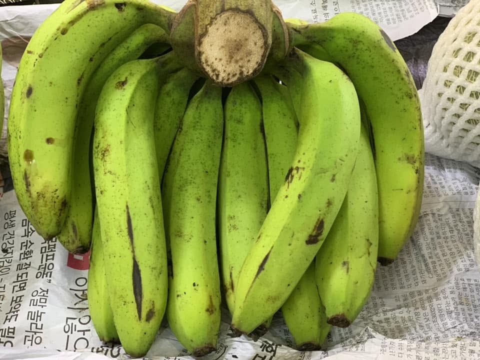 PREMIUM VIETNAMESE CAVENDISH BANANA – FRESH & SWEET | WHOLESALE EXPORT 3