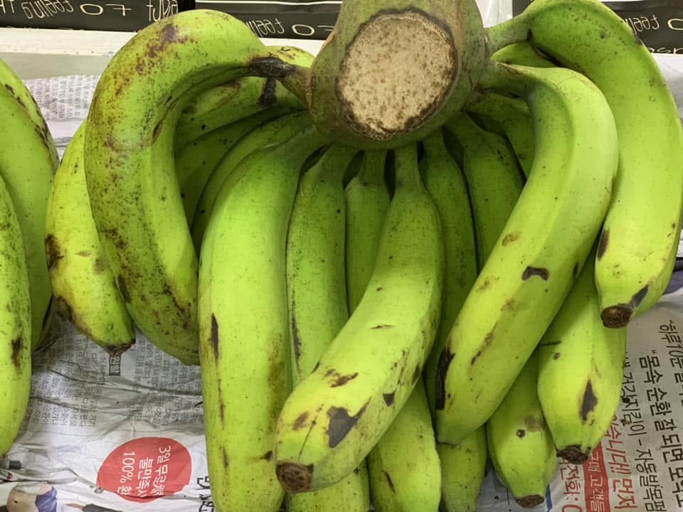 PREMIUM VIETNAMESE CAVENDISH BANANA – FRESH & SWEET | WHOLESALE EXPORT 4
