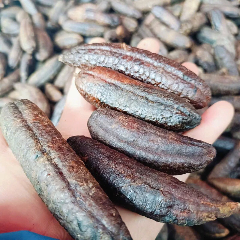 PREMIUM VIETNAMESE WILD SEEDED BANANA – FOR ALCOHOL INFUSION | WHOLESALE