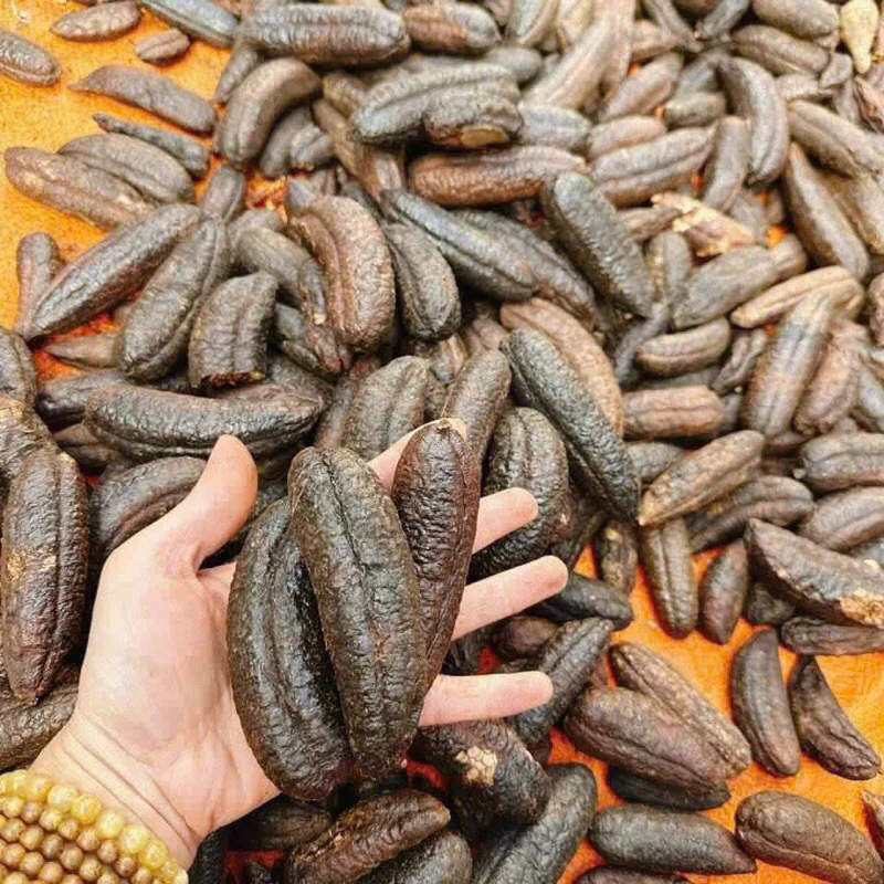 PREMIUM VIETNAMESE WILD SEEDED BANANA – FOR ALCOHOL INFUSION | WHOLESALE 4