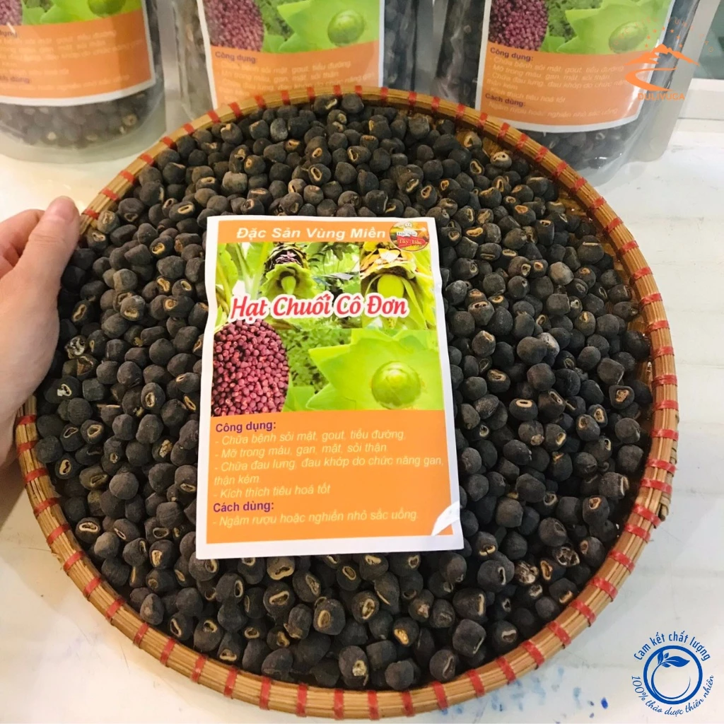 PREMIUM VIETNAMESE LONELY BANANA SEEDS – NINH THUẬN | WHOLESALE EXPORT