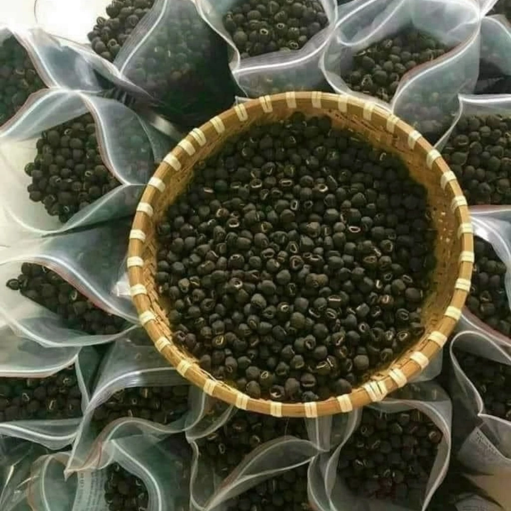 PREMIUM VIETNAMESE LONELY BANANA SEEDS – NINH THUẬN | WHOLESALE EXPORT 4
