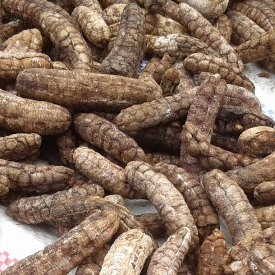 PREMIUM VIETNAMESE TAY NGUYEN FOREST HONEY BANANA – SWEET & AROMATIC | WHOLESALE EXPORT 2