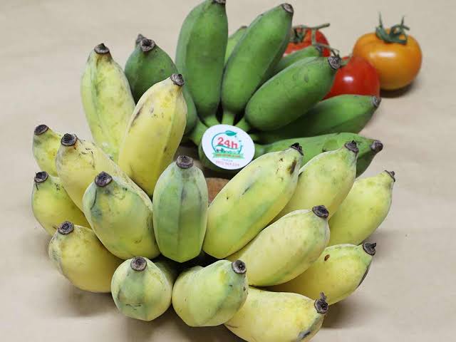 PREMIUM VIETNAMESE PISANG AWAK BANANA – MEKONG DELTA | FRESH WHOLESALE EXPORT 2