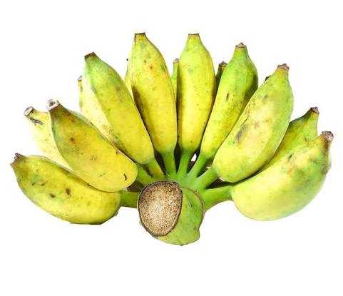 PREMIUM VIETNAMESE PISANG AWAK BANANA – MEKONG DELTA | FRESH WHOLESALE EXPORT 3