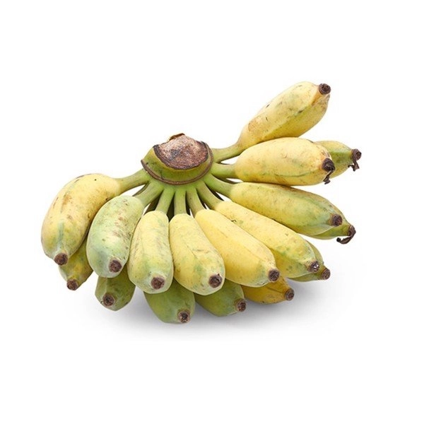 PREMIUM VIETNAMESE PISANG AWAK BANANA – MEKONG DELTA | FRESH WHOLESALE EXPORT 4