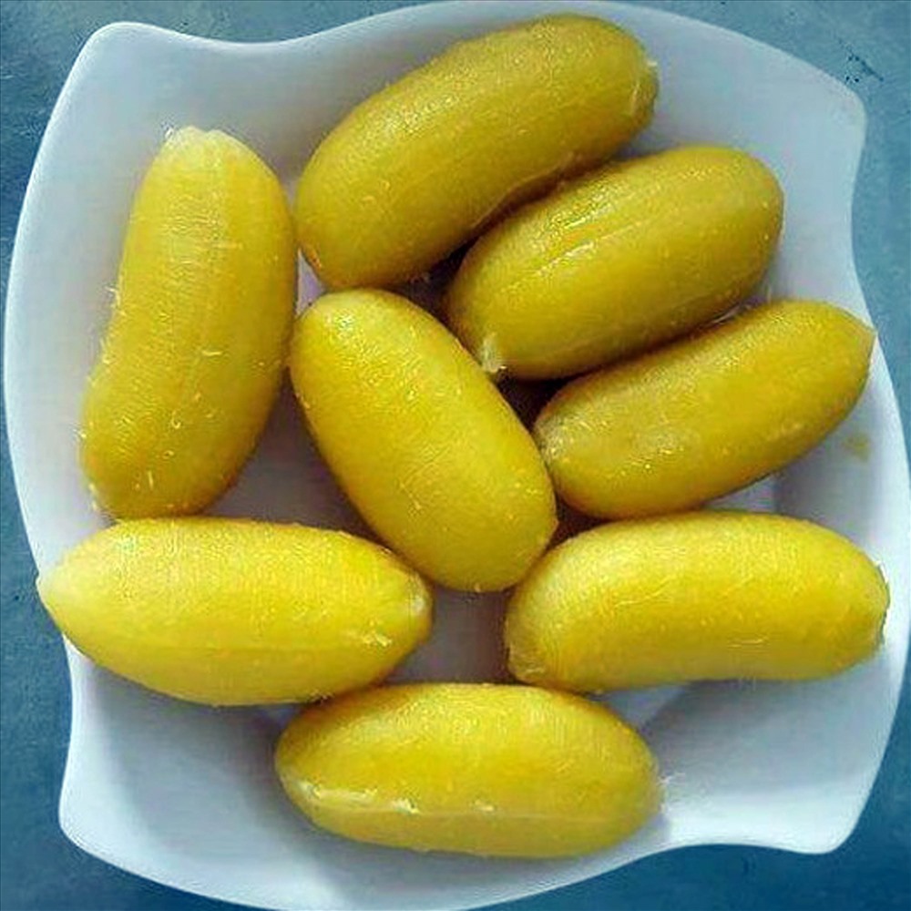 PREMIUM VIETNAMESE BEN TRE SAP BANANA – SPECIALTY SWEET & STARCHY BANANA | WHOLESALE EXPORT
