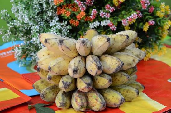 PREMIUM VIETNAMESE BEN TRE SAP BANANA – SPECIALTY SWEET & STARCHY BANANA | WHOLESALE EXPORT 2