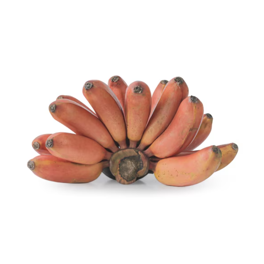 PREMIUM VIETNAMESE RED BANANA – SWEET FRESH FRUIT | WHOLESALE & EXPORT