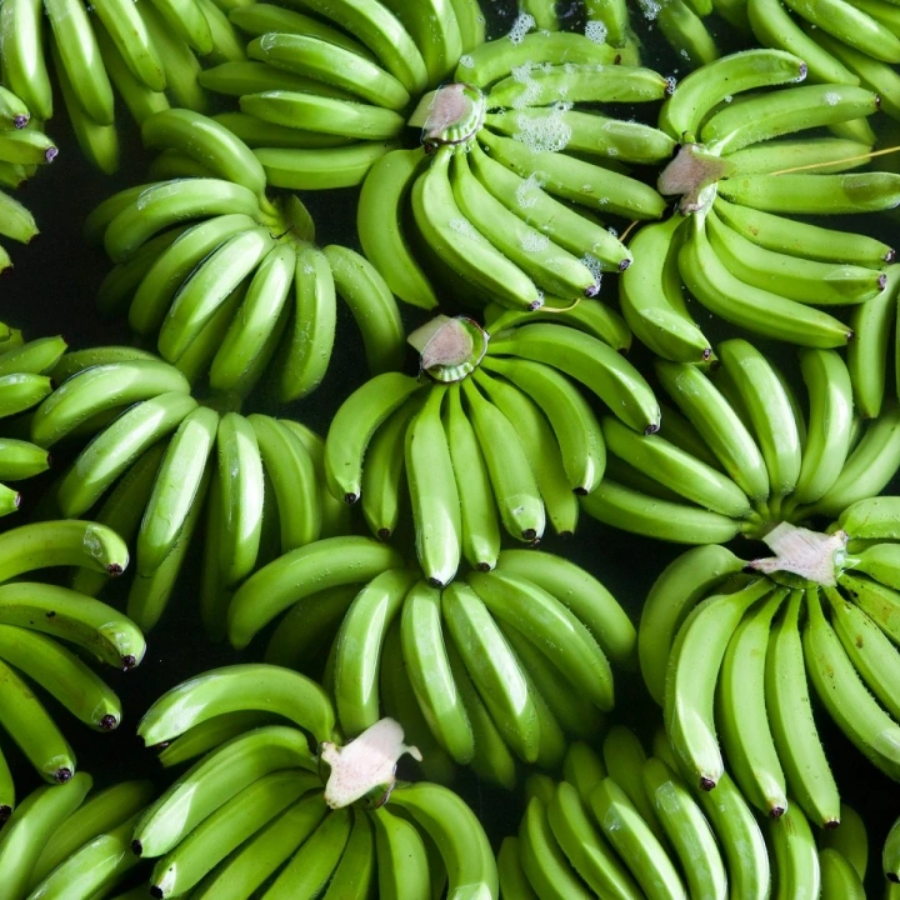 PREMIUM VIETNAMESE RED BANANA – SWEET FRESH FRUIT | WHOLESALE & EXPORT 2
