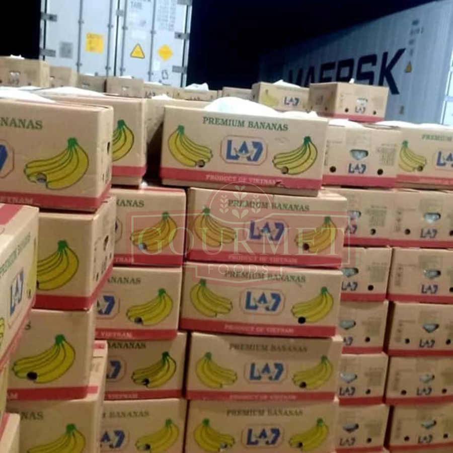 PREMIUM VIETNAMESE RED BANANA – SWEET FRESH FRUIT | WHOLESALE & EXPORT 4