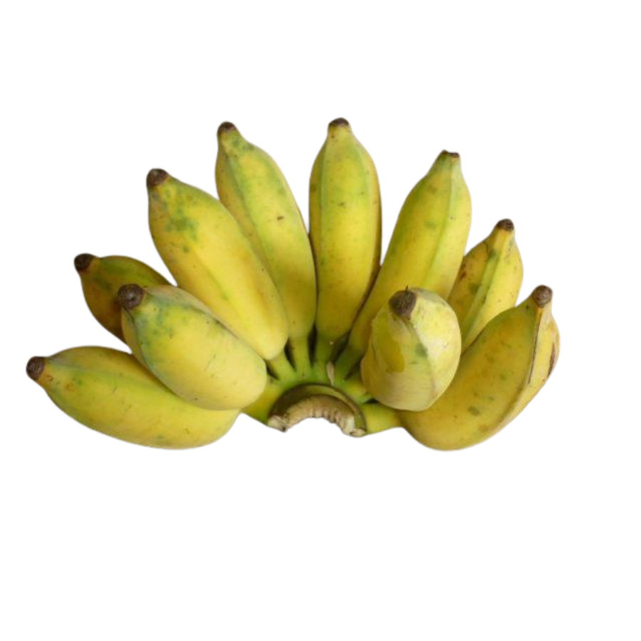 PREMIUM VIETNAMESE SIAM MINI BANANA – SWEET & AROMATIC | FRESH WHOLESALE EXPORT 3