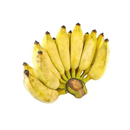 PREMIUM VIETNAMESE TIEN GIANG CHUOI SU BANANA – SWEET & AROMATIC | FRESH WHOLESALE EXPORT 2