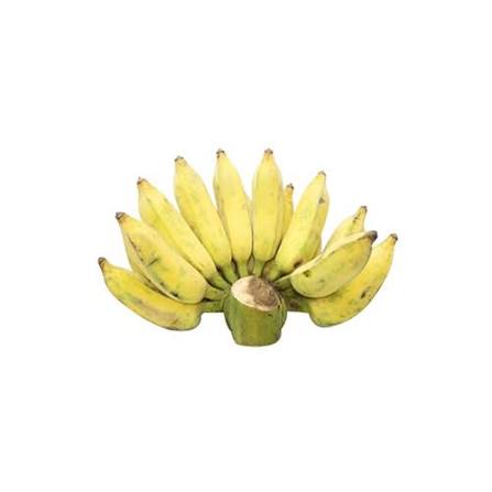 PREMIUM VIETNAMESE TIEN GIANG CHUOI SU BANANA – SWEET & AROMATIC | FRESH WHOLESALE EXPORT 4