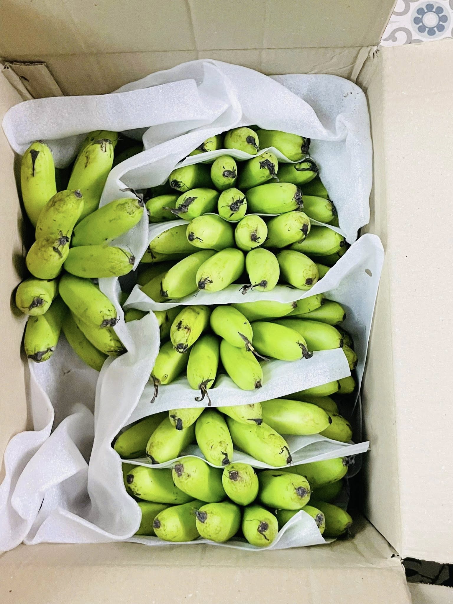 PREMIUM VIETNAMESE DAI HOANG NGU BANANA – SWEET & AROMATIC | SPECIALTY FRESH FRUIT EXPORT 4