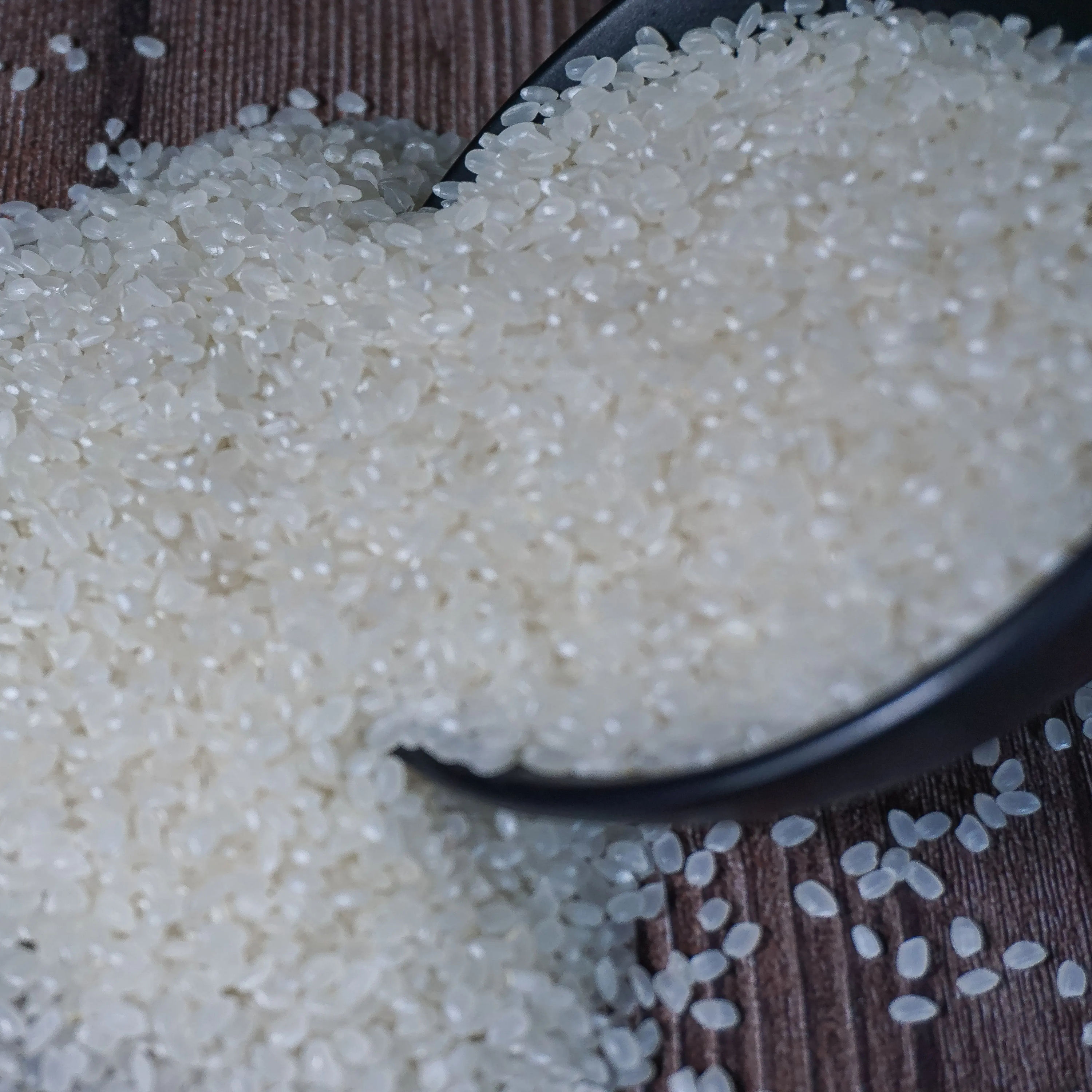 PREMIUM VIETNAMESE JAPONICA RICE – ROUND-GRAIN WHITE RICE | COMPETITIVE EXPORT SUPPLY