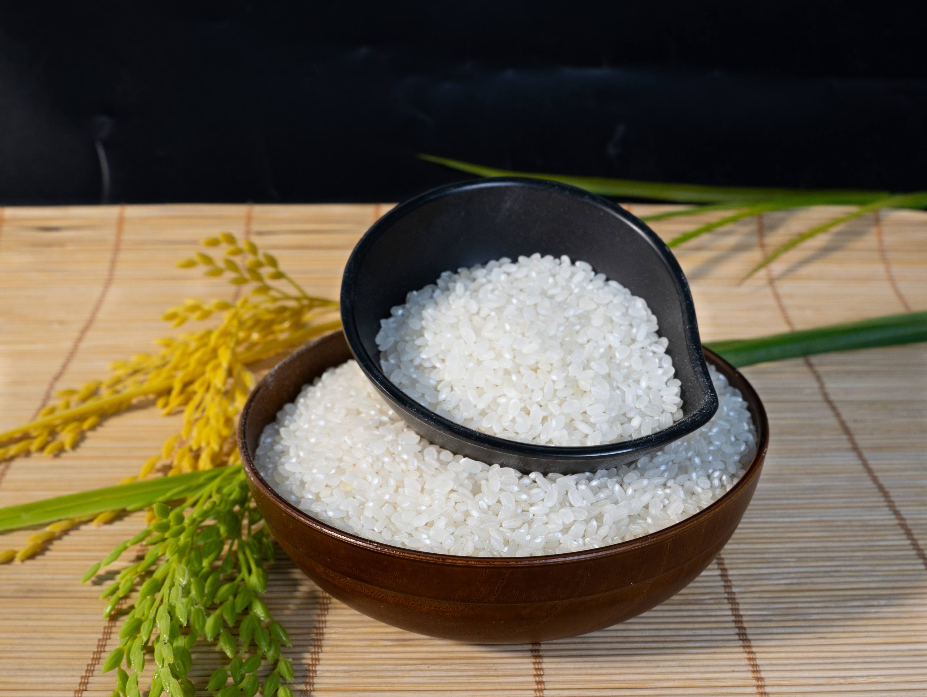 PREMIUM VIETNAMESE JAPONICA RICE – ROUND-GRAIN WHITE RICE | COMPETITIVE EXPORT SUPPLY 4