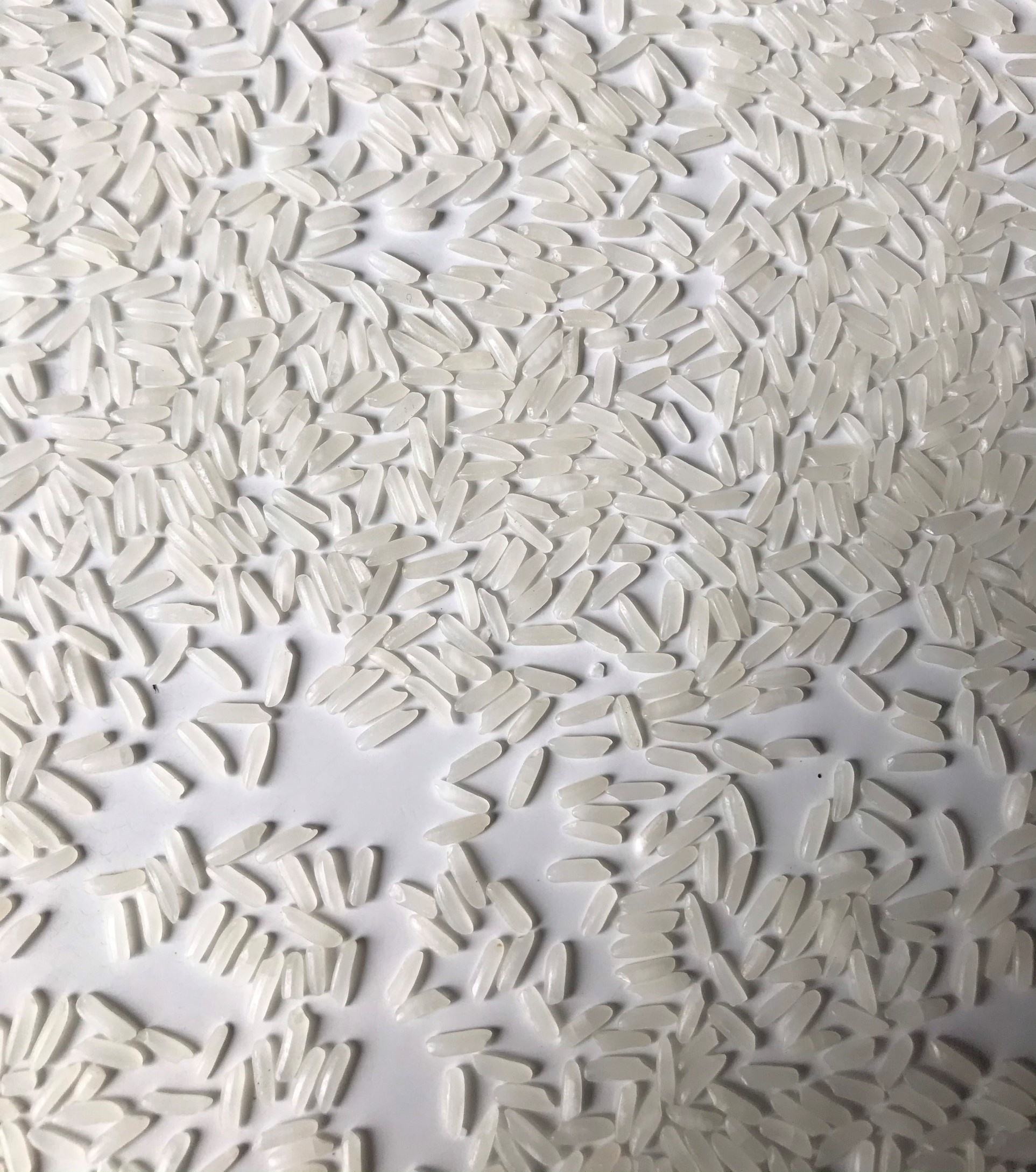 PREMIUM VIETNAMESE WHITE FRAGRANT RICE – MEDIUM GRAIN | 5% BROKEN, BULK DIRECT MILL EXPORT