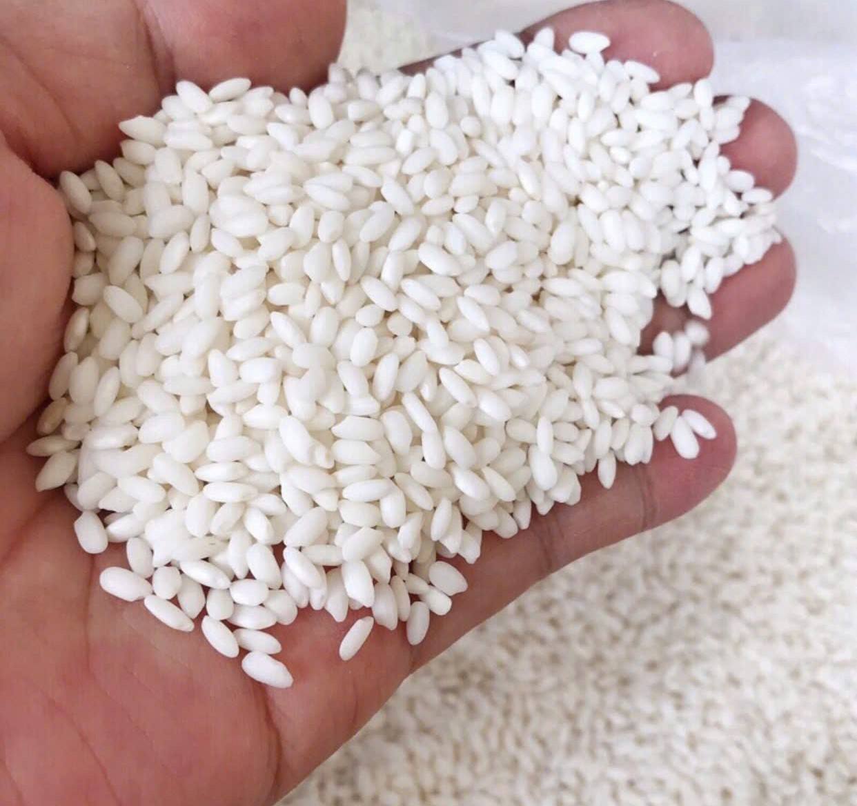 PREMIUM VIETNAMESE GOLDEN GLUTINOUS RICE – 24-MONTH AGED | 60KG PP BAG 3