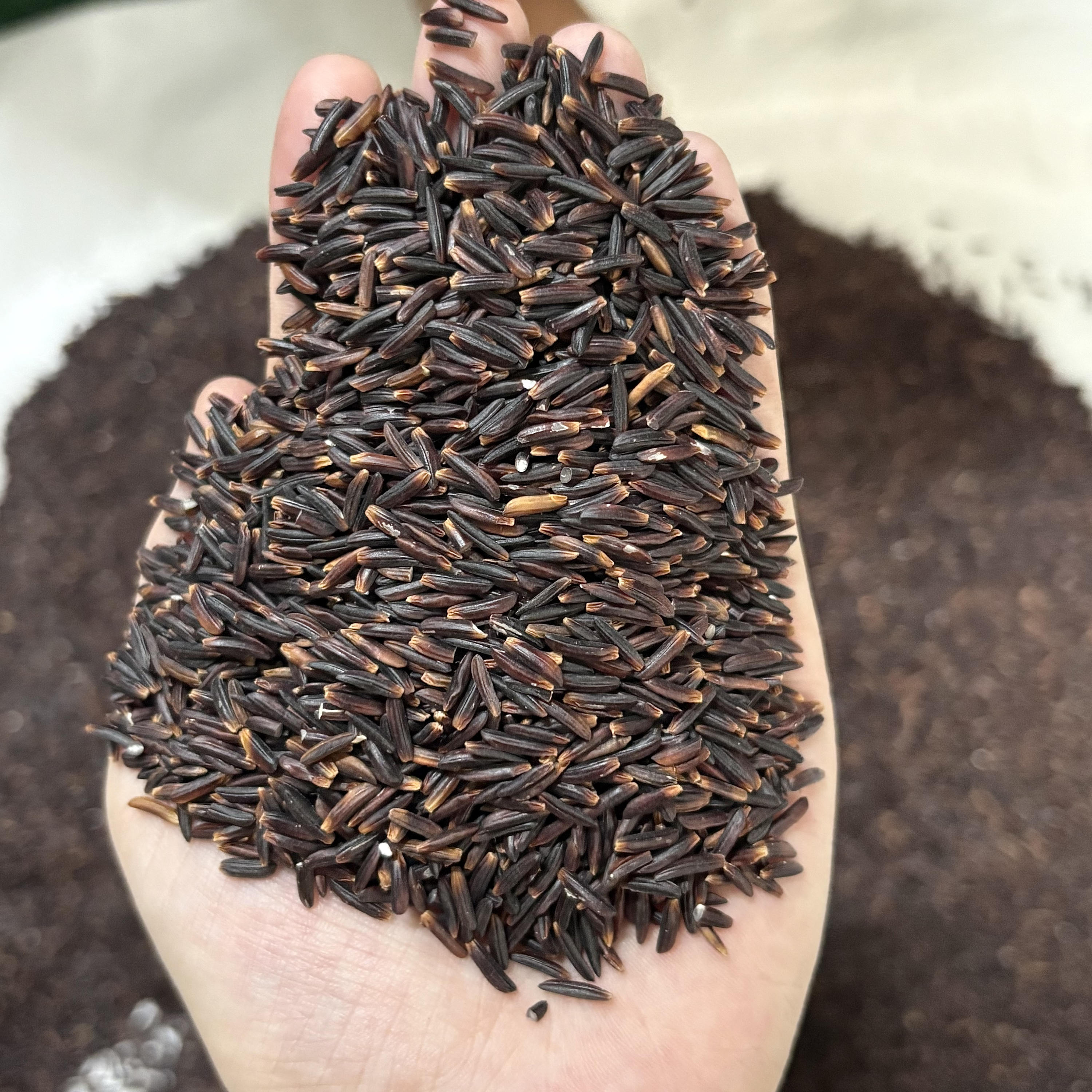 PREMIUM VIETNAMESE BLACK & PURPLE RICE – 1KG / 2KG VACUUM PACK | SUPERMARKET 3
