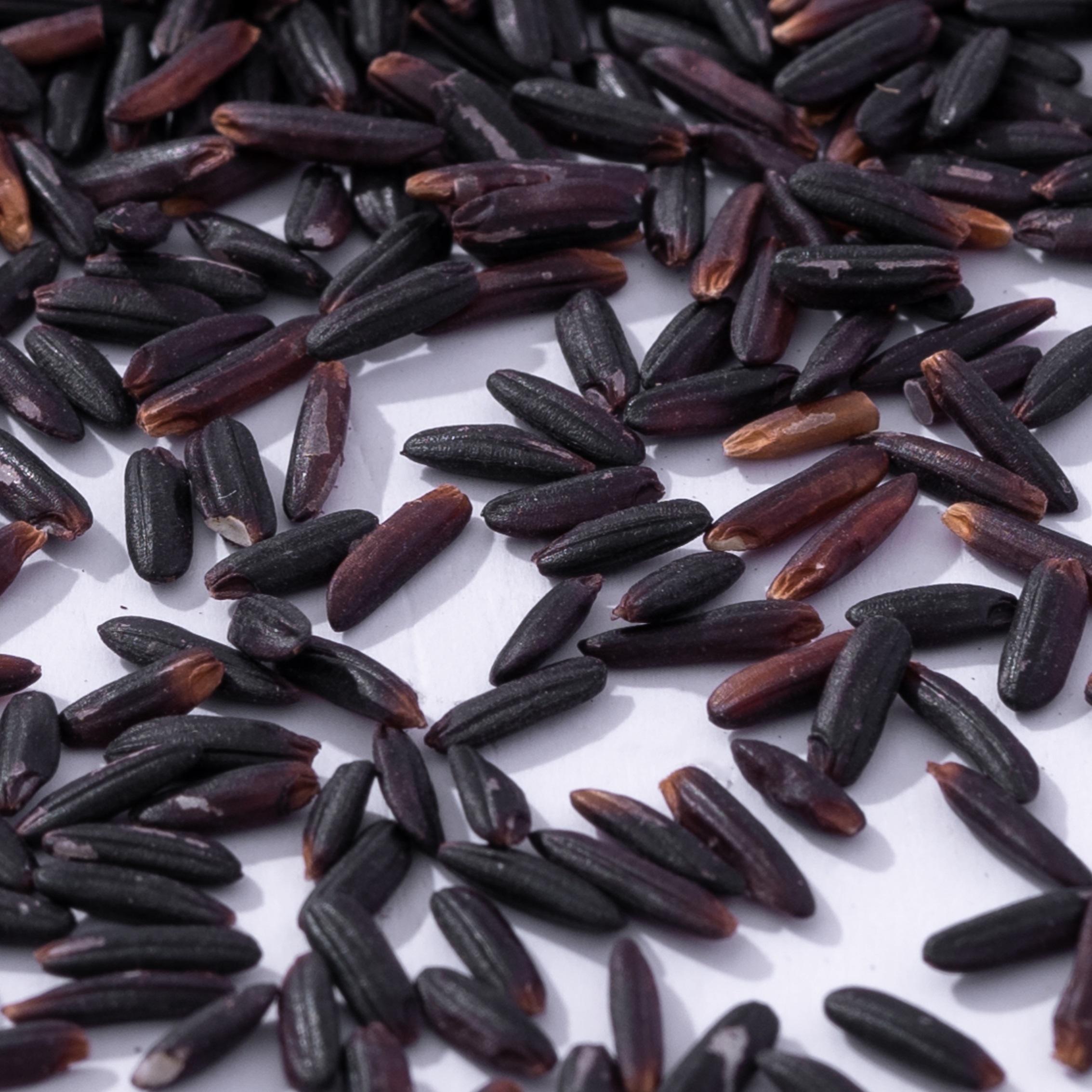 PREMIUM VIETNAMESE BLACK RICE – 1KG / 50KG | BULK WHOLESALE