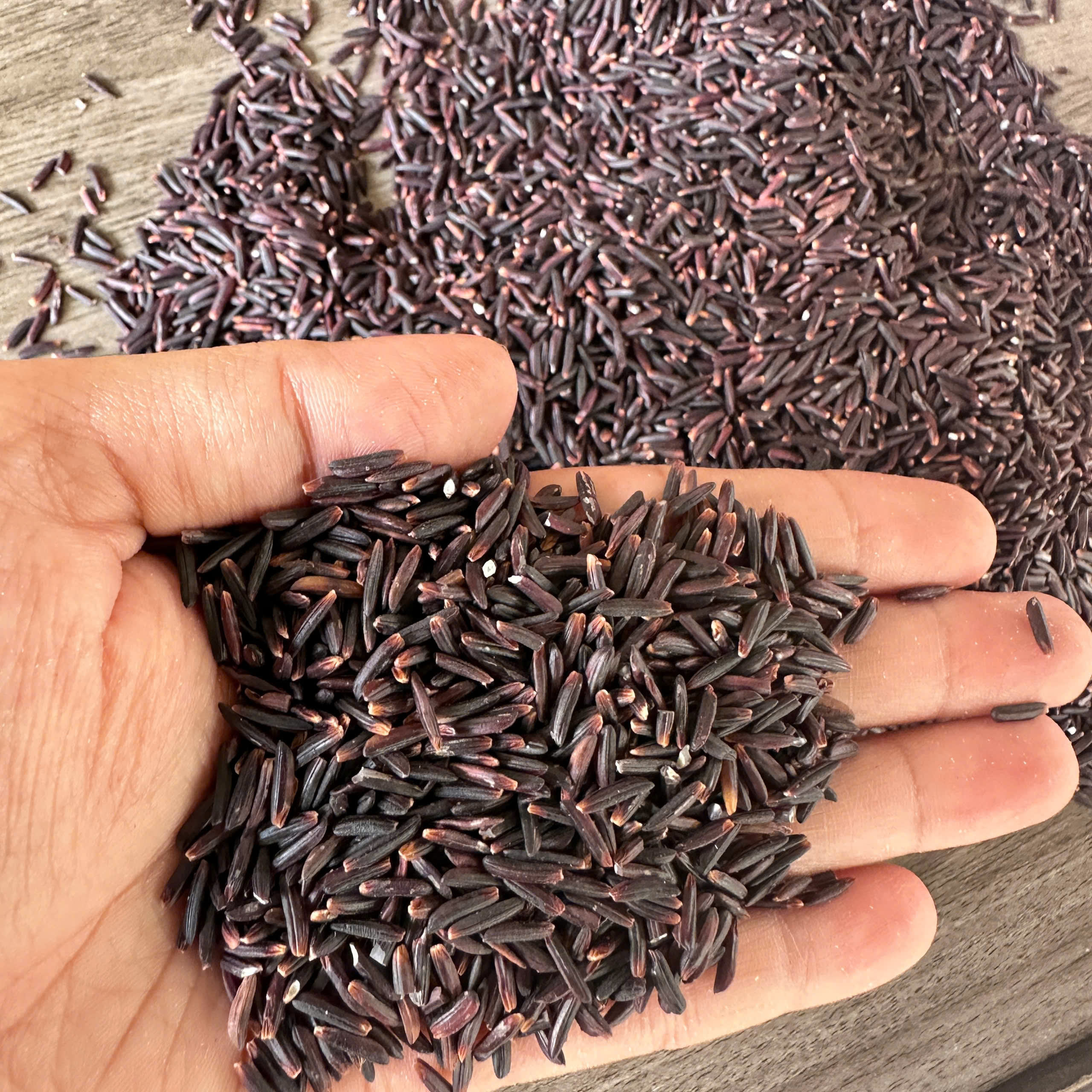 PREMIUM VIETNAMESE BLACK RICE – 1KG / 50KG | BULK WHOLESALE 2