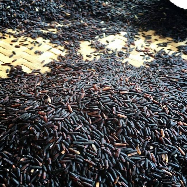 PREMIUM VIETNAMESE BLACK RICE – 1KG / 50KG | BULK WHOLESALE 3