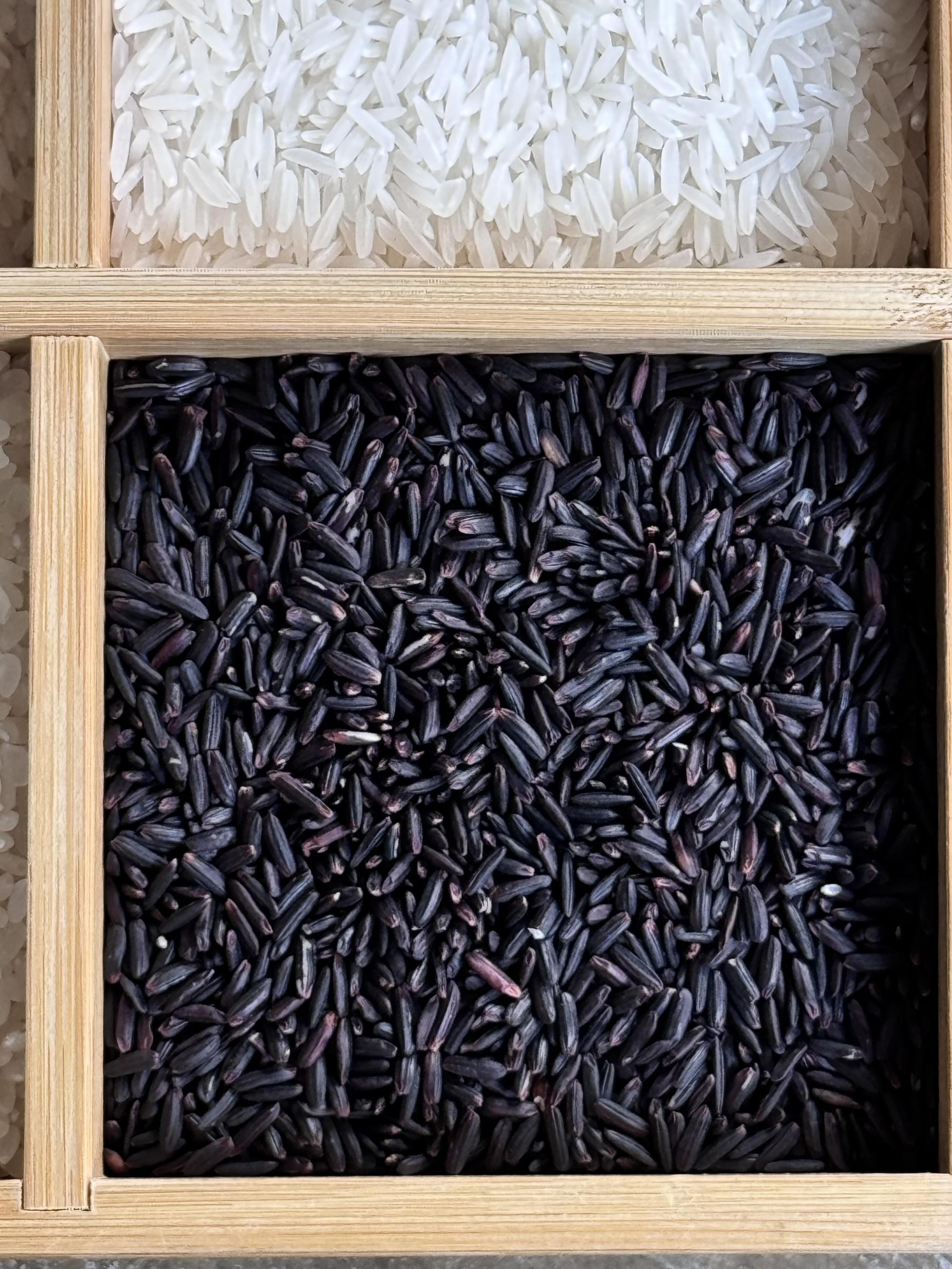 PREMIUM VIETNAMESE BLACK RICE – 1KG / 50KG | BULK WHOLESALE 4