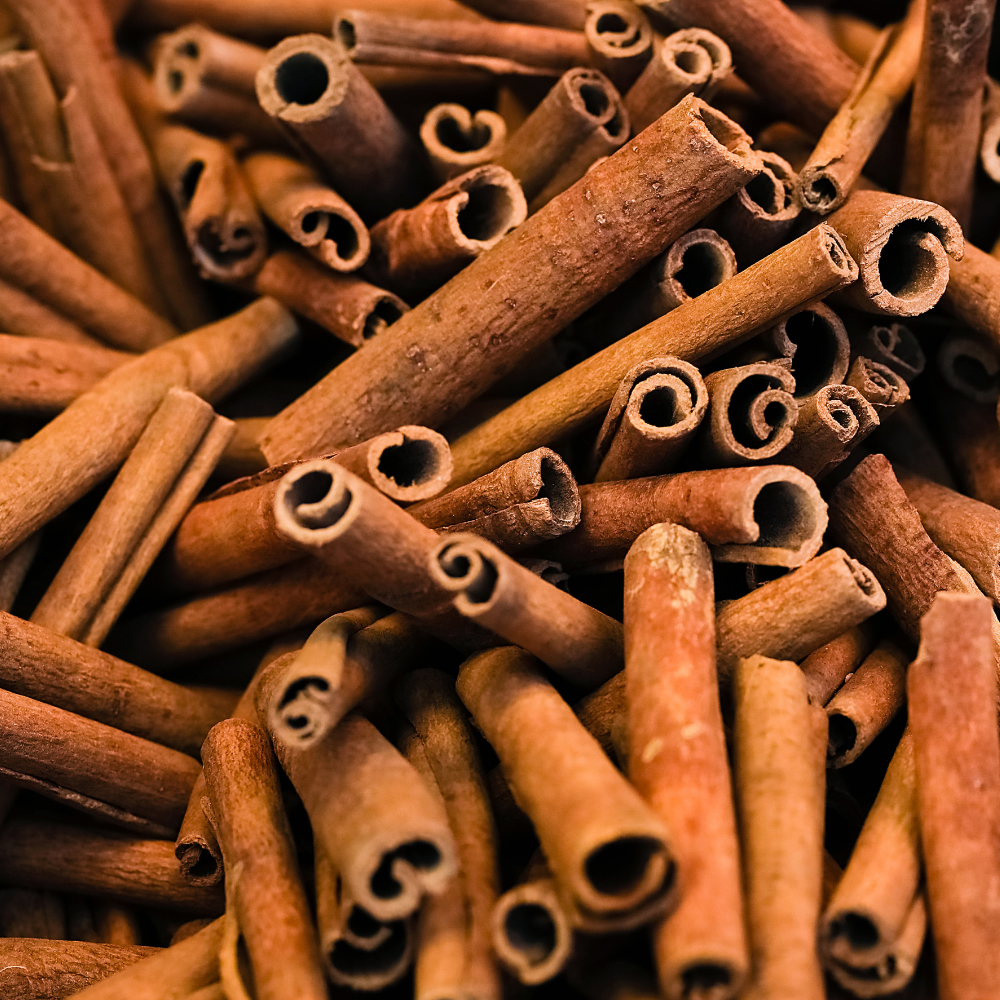 PREMIUM VIETNAMESE DRIED CINNAMON STICKS – PURE WHOLE SPICE | BULK WHOLESALE 2