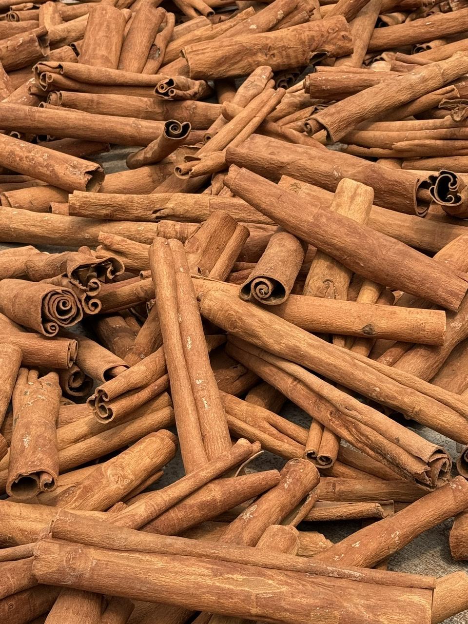PREMIUM VIETNAMESE SAIGON CINNAMON – NATURAL SPICE MANUFACTURER & GLOBAL EXPORT SUPPLY 3