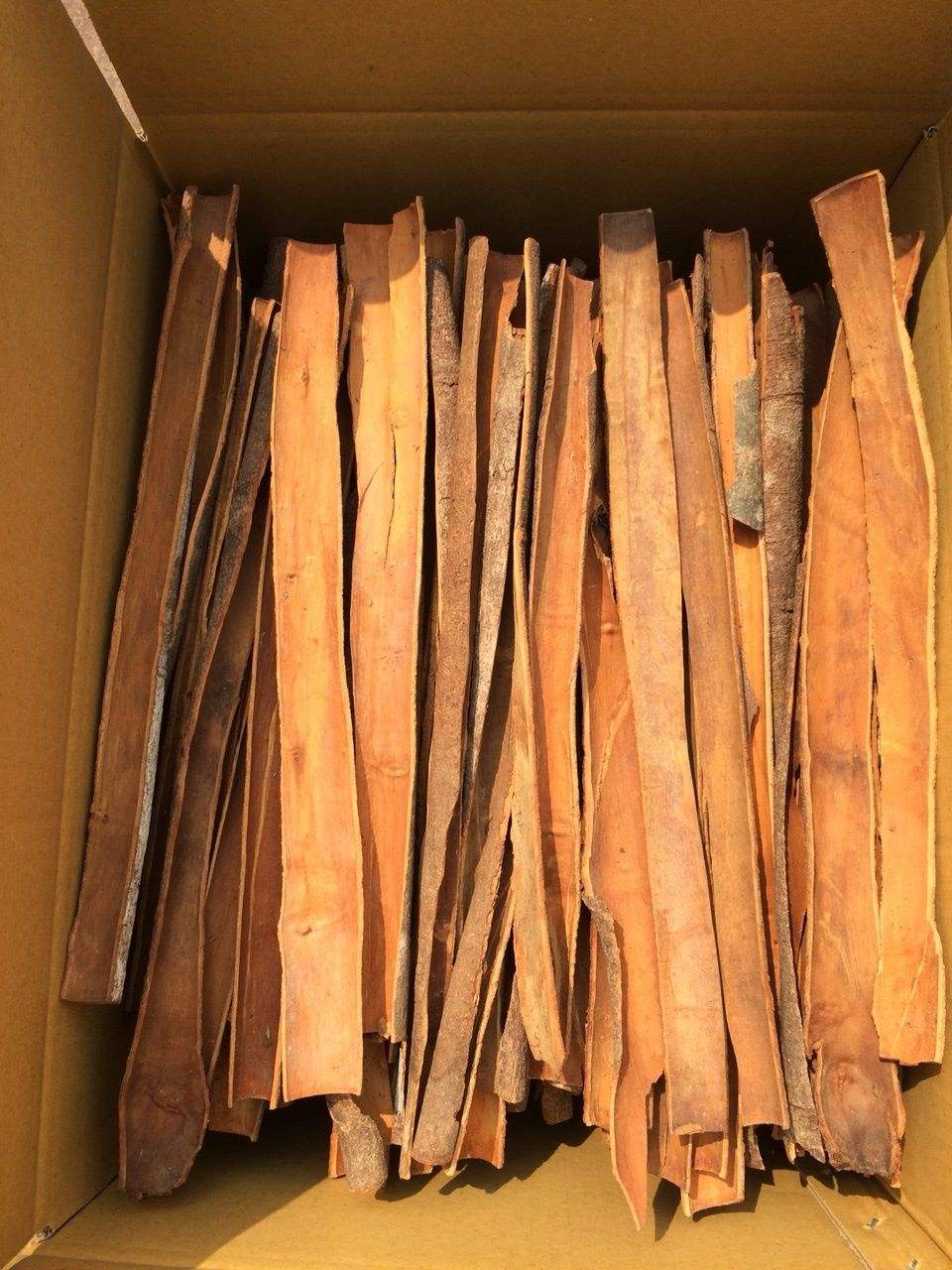 PREMIUM VIETNAMESE CASSIA CINNAMON SLICES – DALCHINI & DARUCHINI SPICE | GLOBAL BULK EXPORT 2