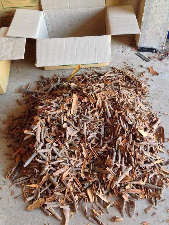 PREMIUM VIETNAMESE YEN BAI DRIED CINNAMON CHIPS – HIGH VOLATILE OIL | BULK WHOLESALE 4