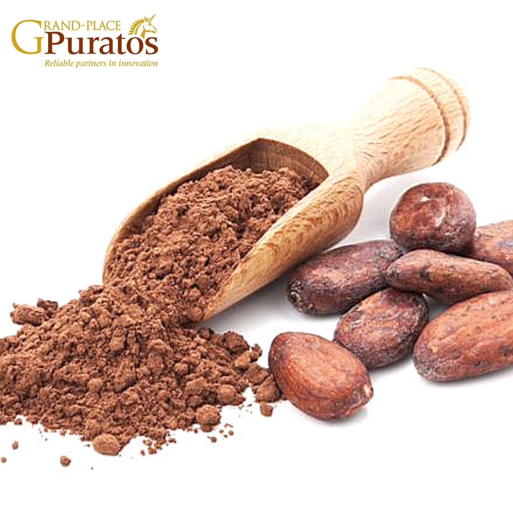 PREMIUM VIETNAMESE HOT CHOCOLATE CACAO BEVERAGE – READY TO SERVE 4