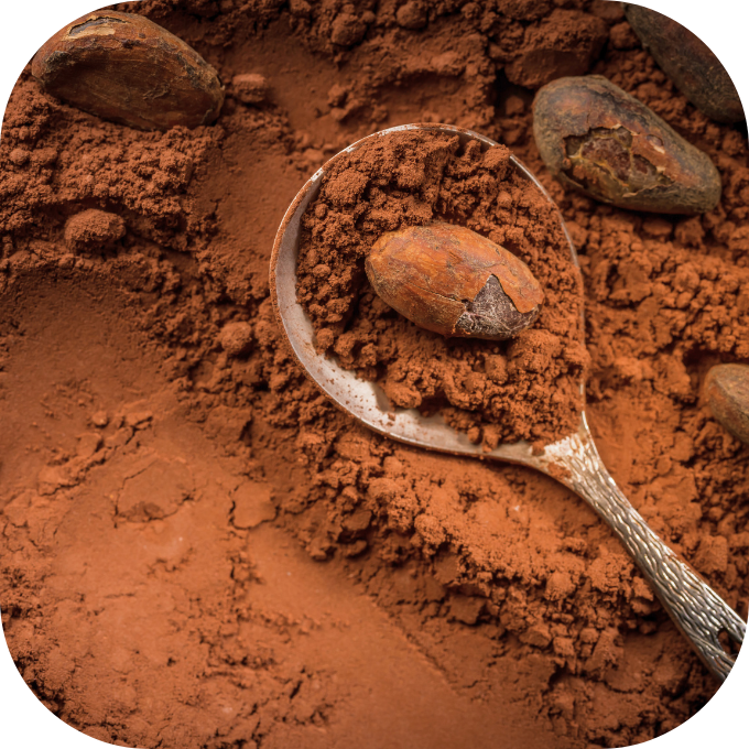 PREMIUM VIETNAMESE COCOA POWDER – HIGH QUALITY BULK WHOLESALE