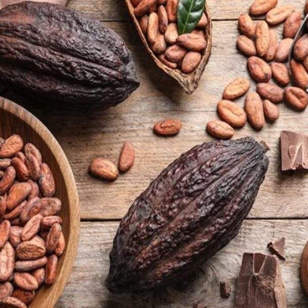 PREMIUM VIETNAMESE ORGANIC COCOA POWDER – 100% PURE – LOW FAT – BULK EXPORT 4