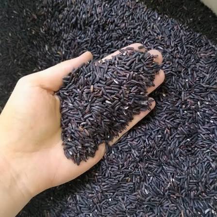 PREMIUM VIETNAMESE BLACK RICE – LOW-STARCH SPECIFICATION – BULK EXPORT