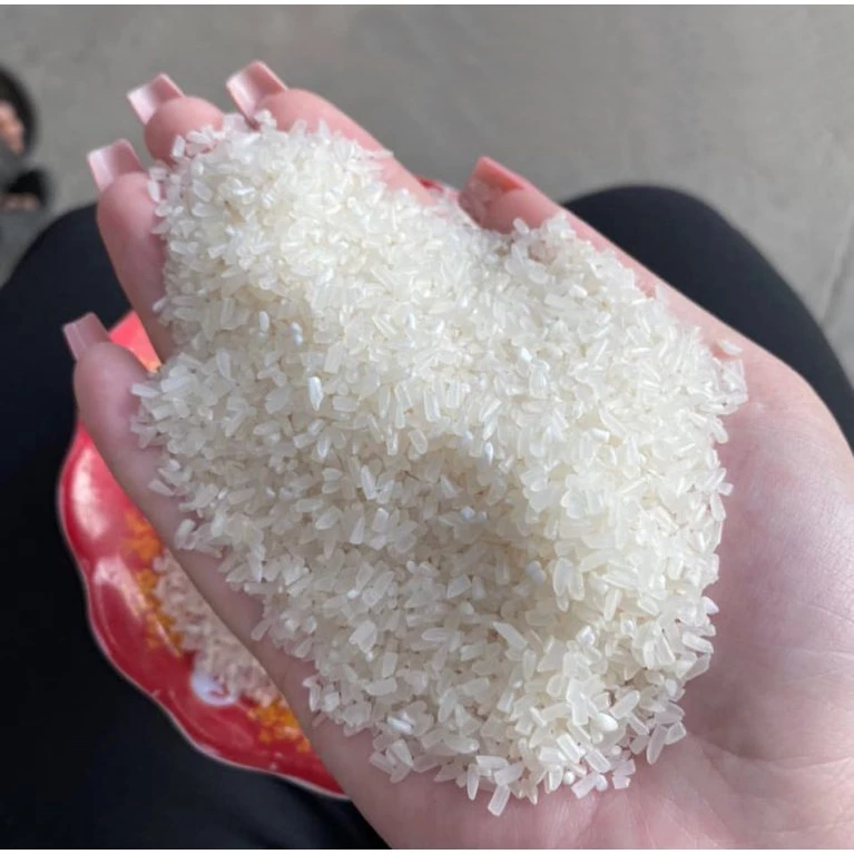 PREMIUM VIETNAMESE BROKEN RICE 25% – WHOLESALE – COMPETITIVE SUPPLY 2