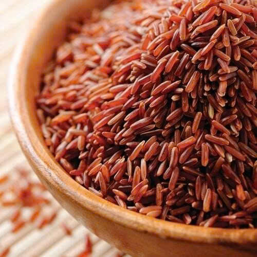 PREMIUM VIETNAMESE BROWN RICE – BULK WHOLESALE – EXPORT QUALITY