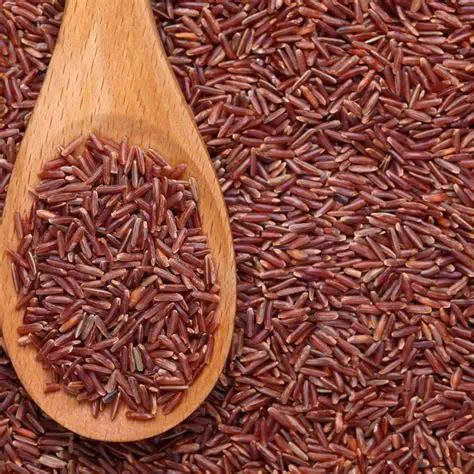 PREMIUM VIETNAMESE BROWN RICE – BULK WHOLESALE – EXPORT QUALITY 2
