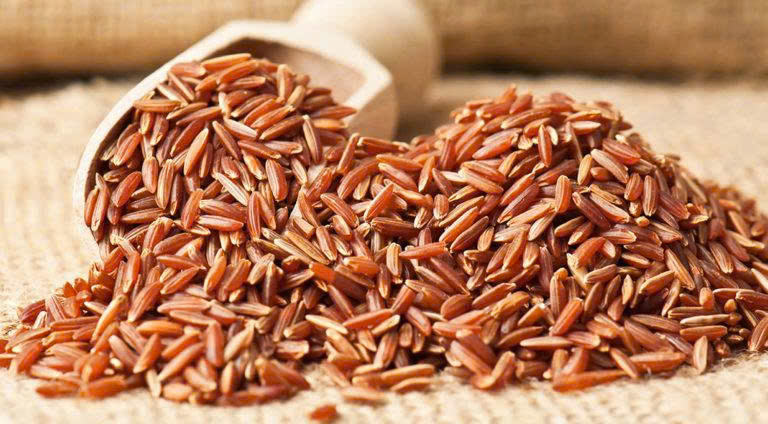 PREMIUM VIETNAMESE BROWN RICE – BULK WHOLESALE – EXPORT QUALITY 4