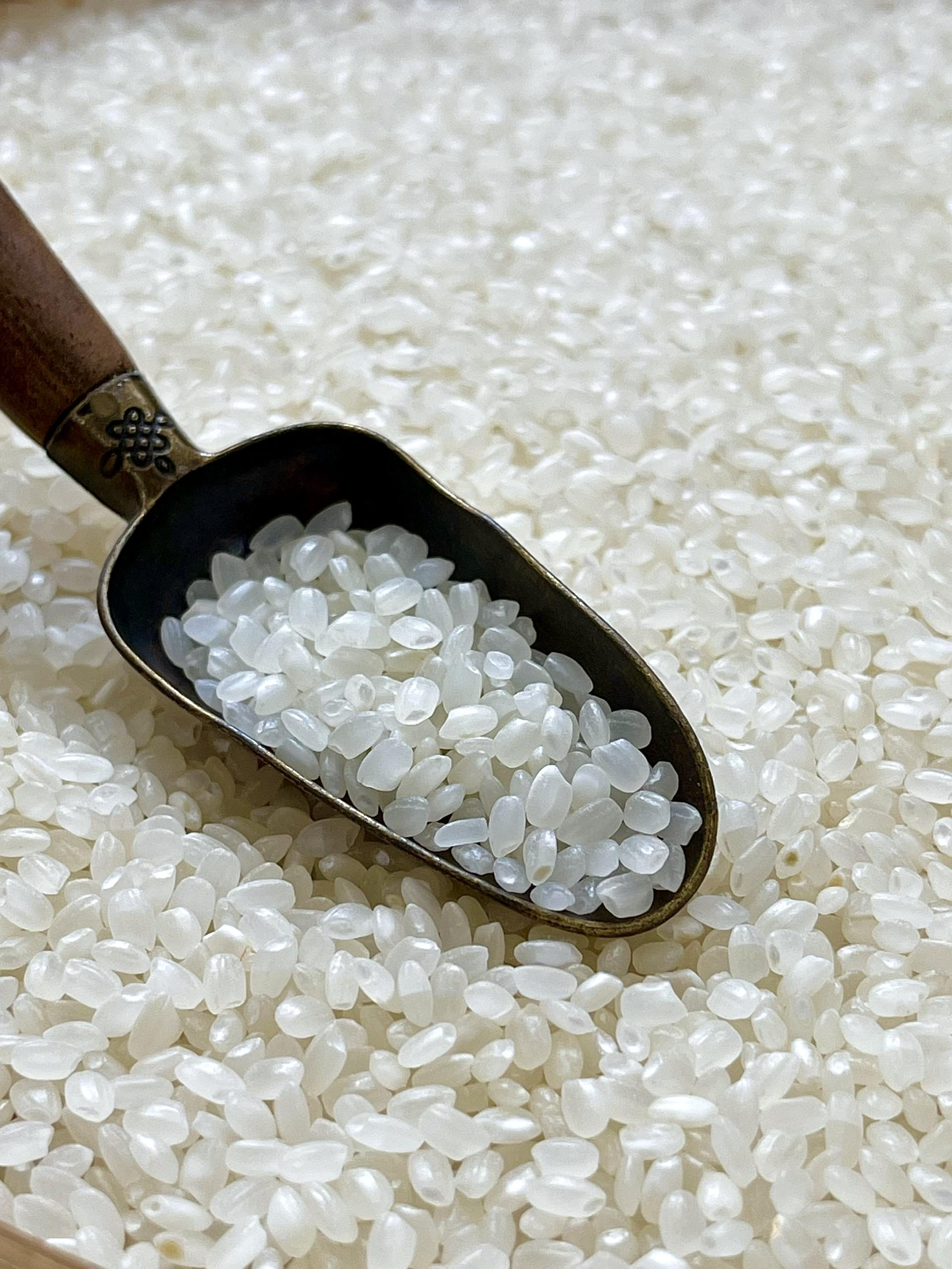 BEST-SELLING VIETNAMESE JAPONICA SHORT-GRAIN KOSHIHIKARI RICE – 1KG SUSHI EXPORT PACK 2