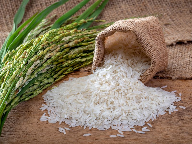PREMIUM VIETNAMESE ST25 RICE – APC ECO VBO – 40 LBS EXPORT PACK 2