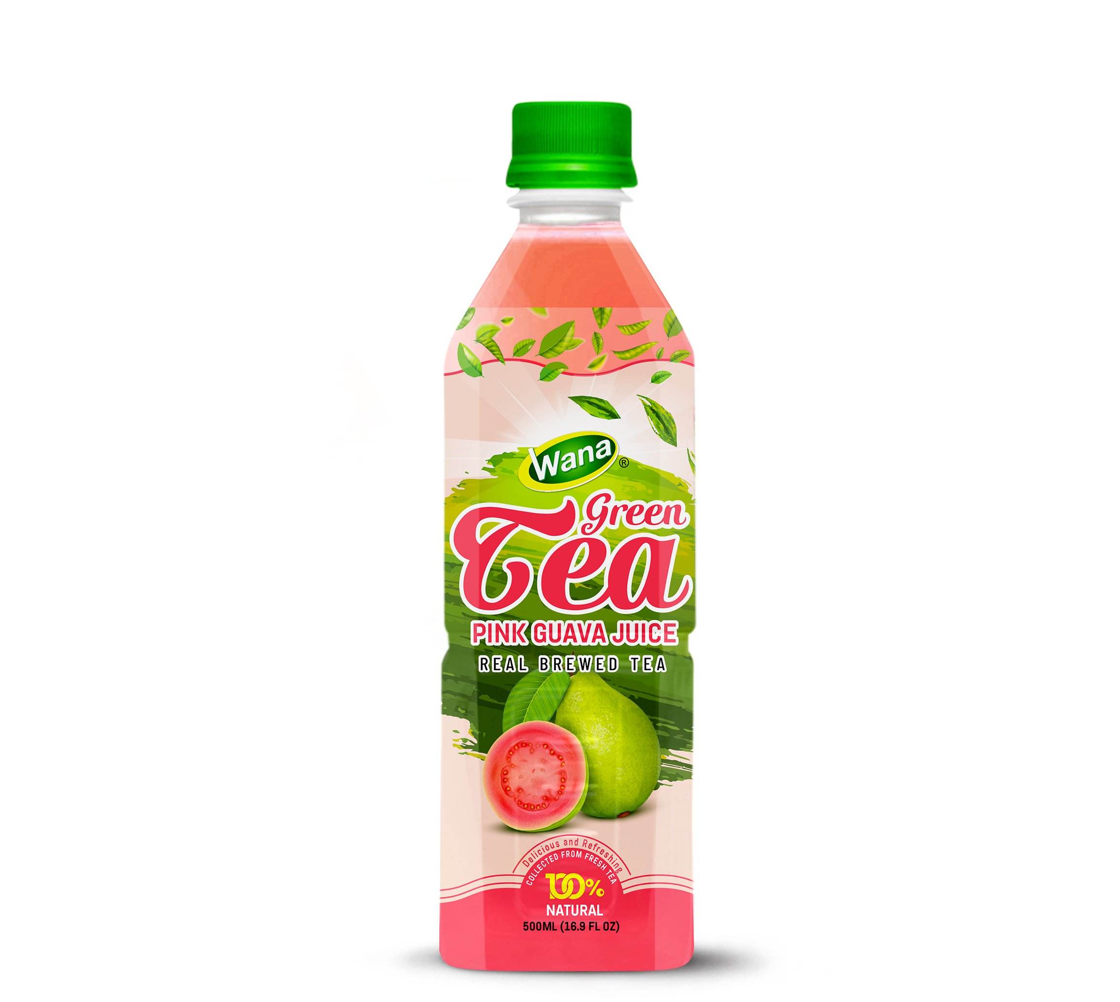PREMIUM VIETNAMESE TROPICAL GREEN TEA WITH MELON – 500ML PET BOTTLE – EXPORT SUPPLY 3
