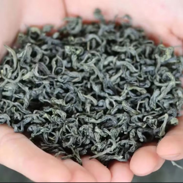 PREMIUM VIETNAMESE GREEN TEA – TOP QUALITY – WHOLESALE EXPORT TO EU, USA & UAE 2